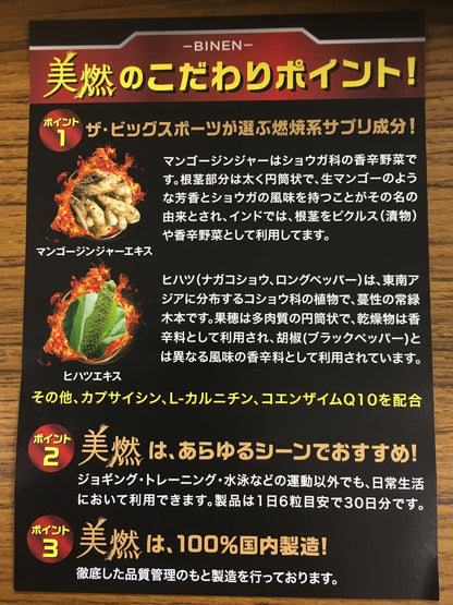 美燃